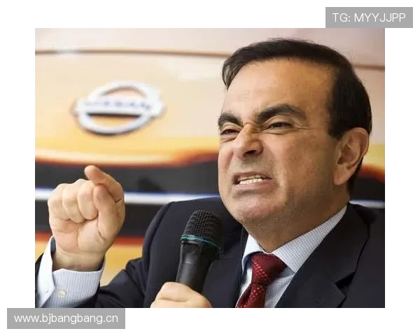 圭里尼与普鲁萨克新戈里察之行探寻确认证据