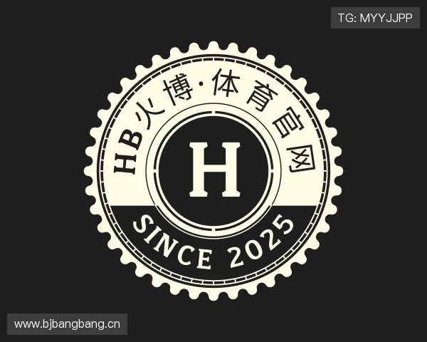 关于HB火博公司